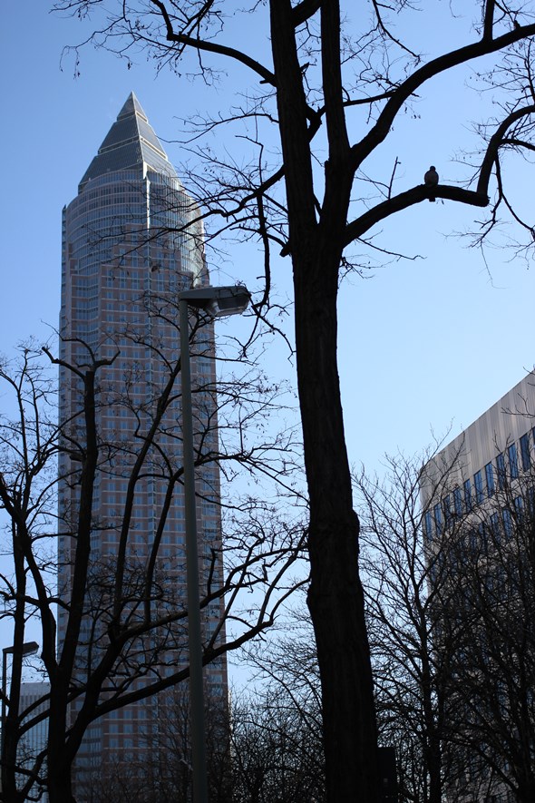 Typical situation: Shoot a building. The 40mm is a bit tight, but managed to get the whole tower and the bird on the branch to the right.