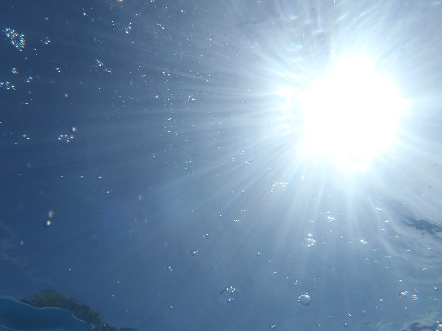 Underwater shot from a swimming pool. An underwater housing for a DSLR would have worked here, but shelling out hundreds of dollars for a few minutes of fun in the pool seems excessive.