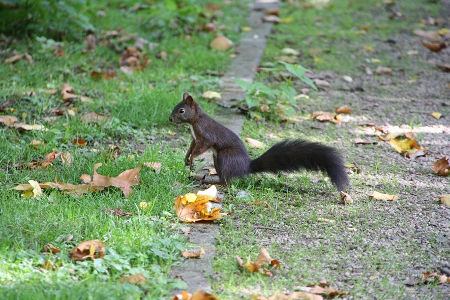 Getting close to animals is much easier. (f/6.3, 270mm)