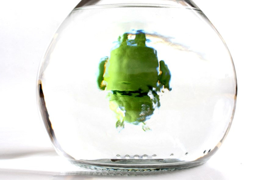 The Android droid behind a bottle of grappa.