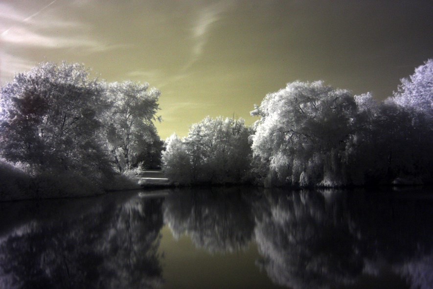 Quite typical infrared shot with some basic post-processing. Looking wacky.