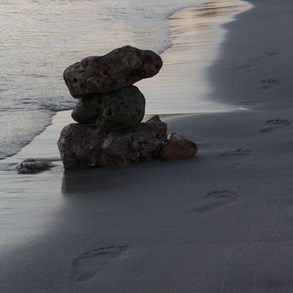 Things you find at the beach.