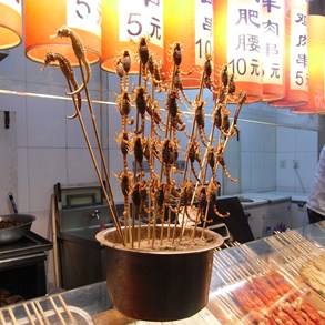 Yes, those are scorpions. And those to the left, seahorses.