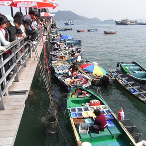 You can actually buy fish directly from the boats.