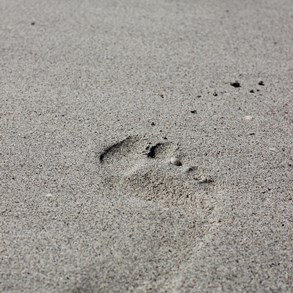 Also footsteps.