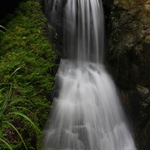 Small waterfall in Hong Kong Park.