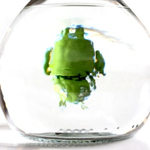 Theme: &quot;Upside down&quot;.