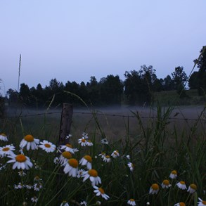 Evening haze.